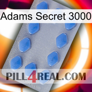 Adams Secret 3000 21